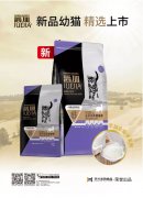 爵加新品幼貓精選上市！